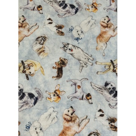 Chien Tissu TIS-0641*