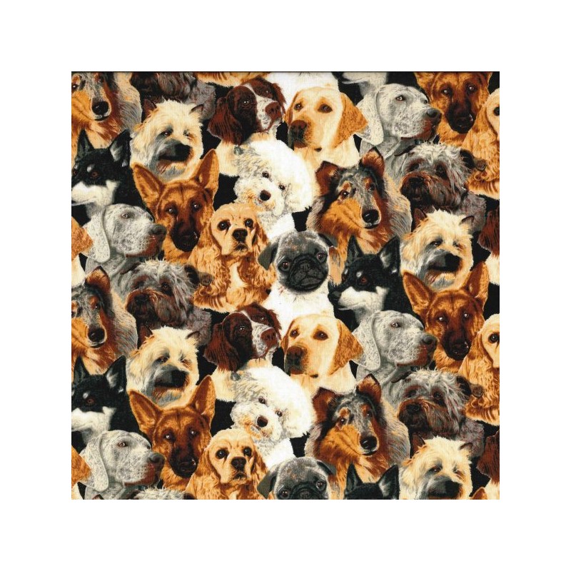 Chien Labrador Epagneul Golden Berger Allemand Tissu TIS-0643*