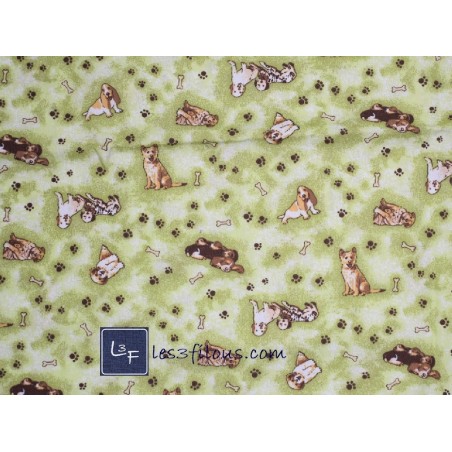 Chien Pattes et Os sur fond Vert TIS-0668