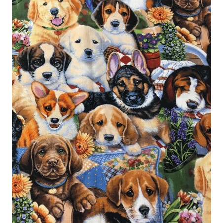 Chien Puppy Labrador Epagneul TIS-0673