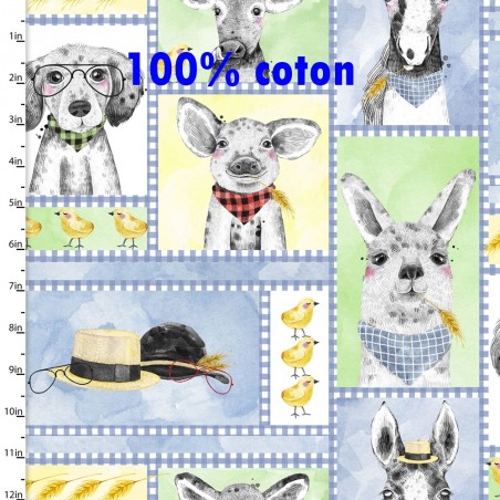 Ferme Lama Cochon Lapin Chien  TIS-0930