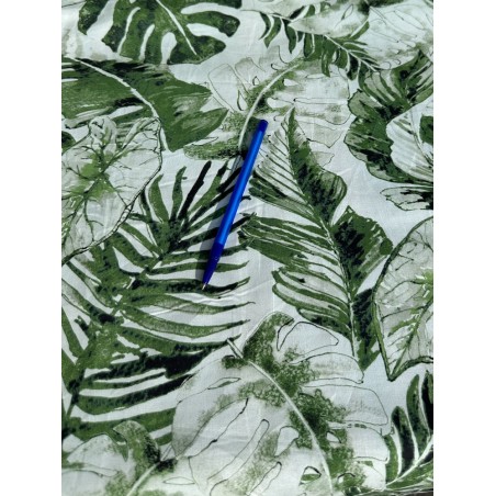 Feuille Feuillage Fougère Tropical TIS-0955