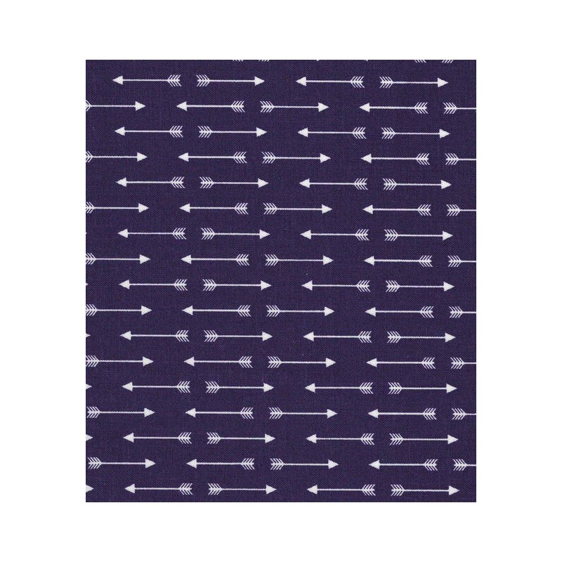 Fleche Arrow sur Fond Marine TIS-0980