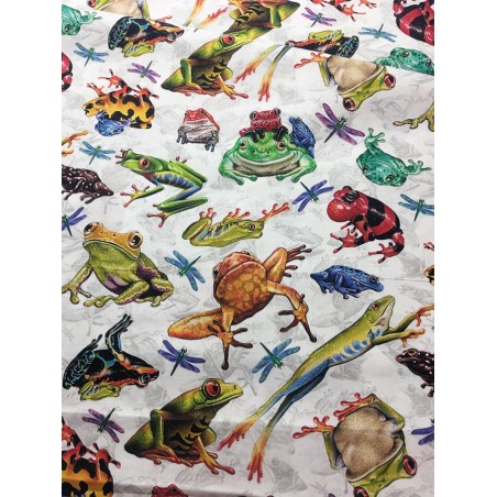 Grenouilles TIS-1151