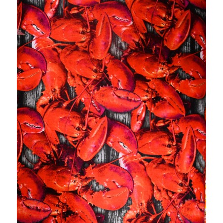 Homards Fruit de Mer Crustacé Lobster TIS-1241