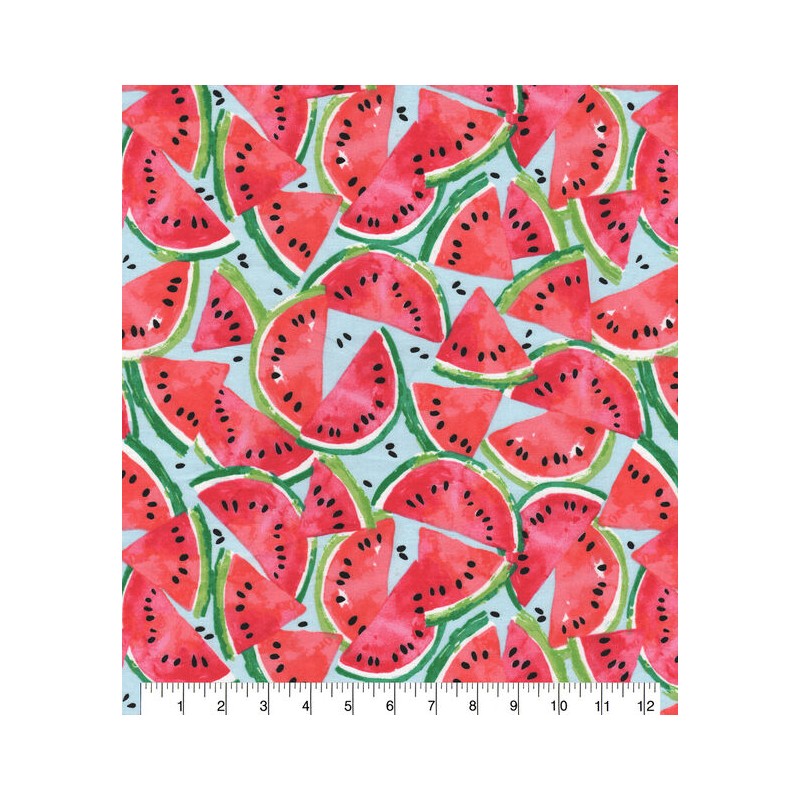 Melon d'eau Pastèque Watermelon TIS-1430*