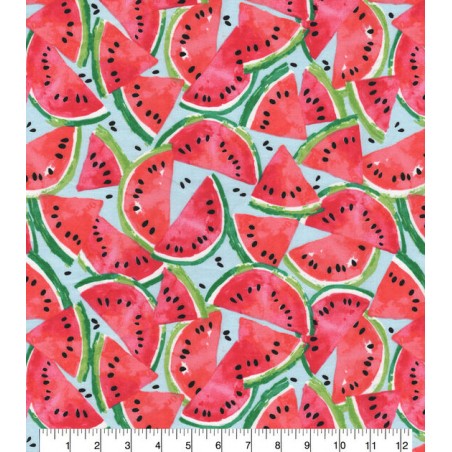 Melon d'eau Pastèque Watermelon TIS-1430*