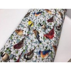 Oiseaux cardinal Pinson TIS-1621*