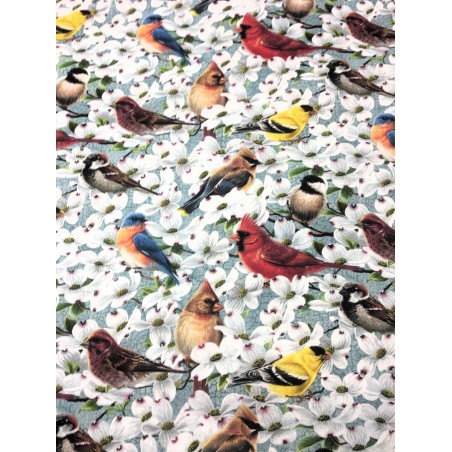 Oiseaux cardinal Pinson TIS-1621*