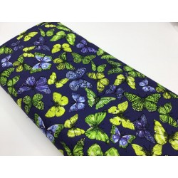 Papillons Jaunes et Bleues TIS-1760