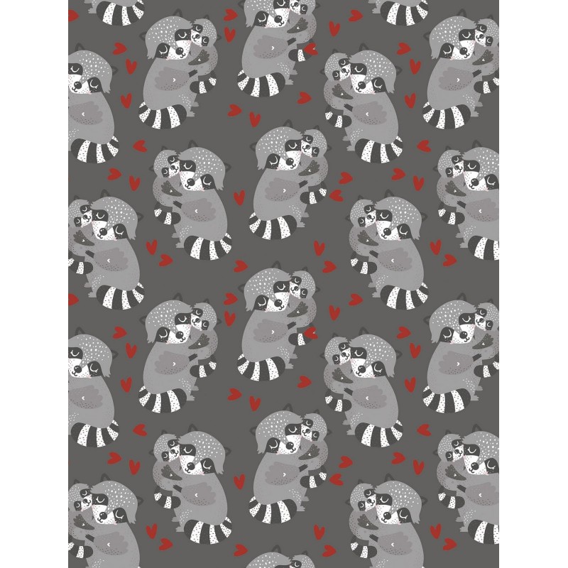 Raton Laveur Raccoon TIS-2240