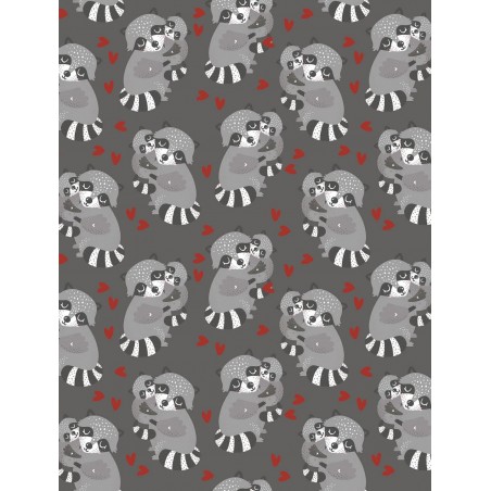 Raton Laveur Raccoon TIS-2240