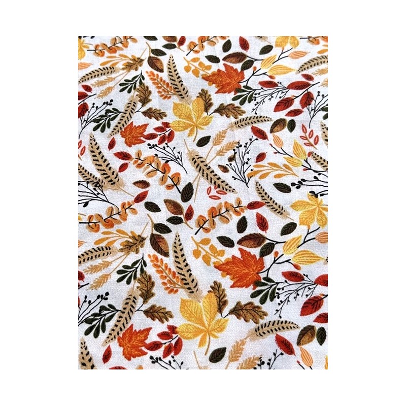 Feuille Feuillage Automne TIS-0956