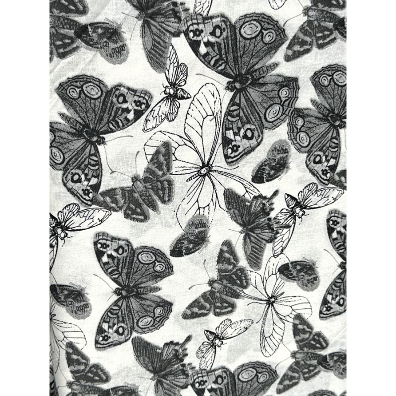 Papillons Monochrome TIS-1770