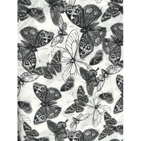 Papillons Monochrome TIS-1770