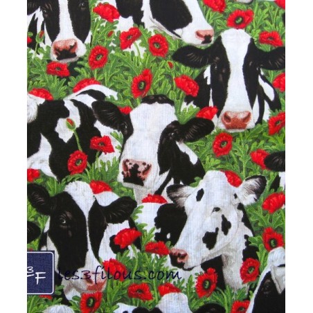 Vache TIS-2620