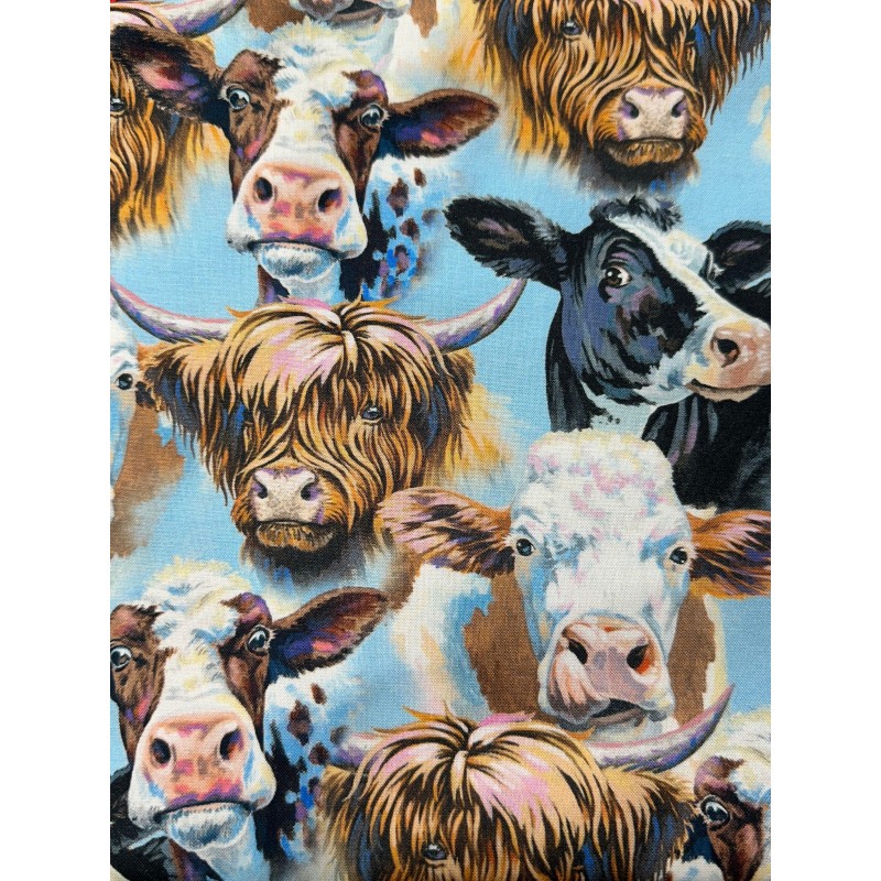 Vache Highland TIS-2621*