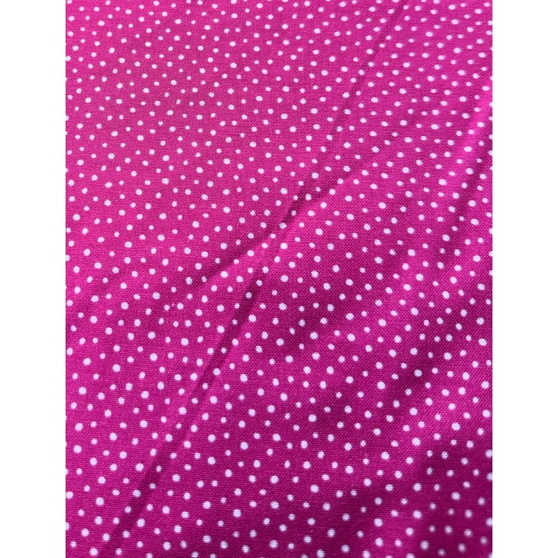 Picot Mini Dot Blanc sur Fond Framboise TIS-3114