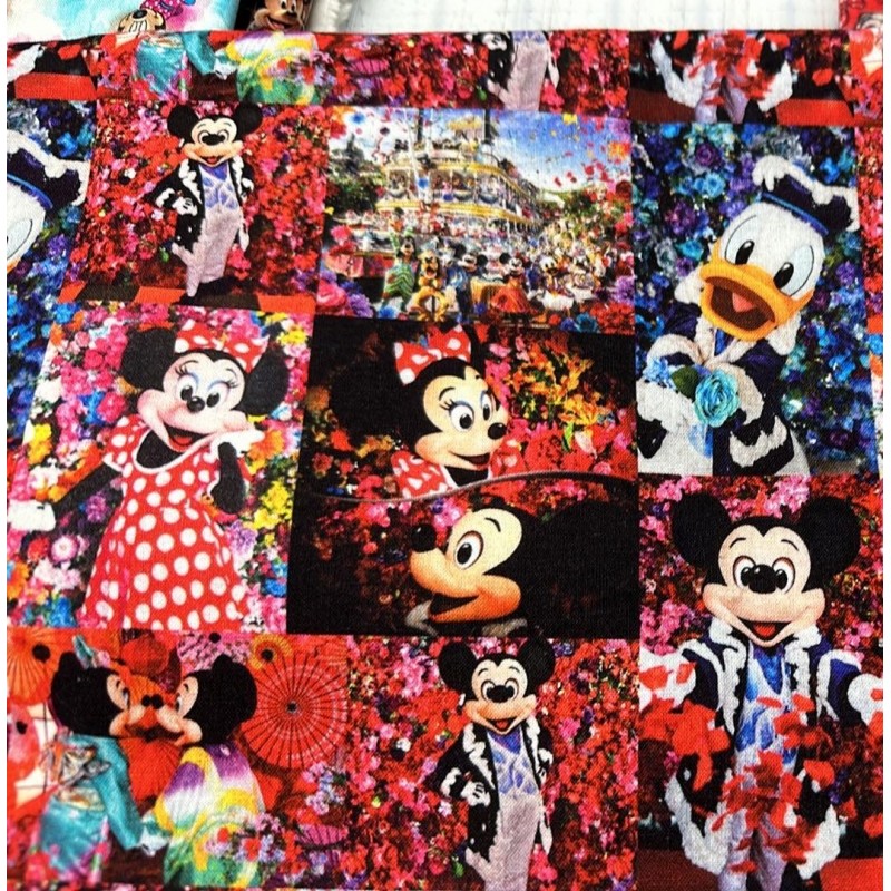 Mickey Minnie Donald Duck Souris TIS-1463