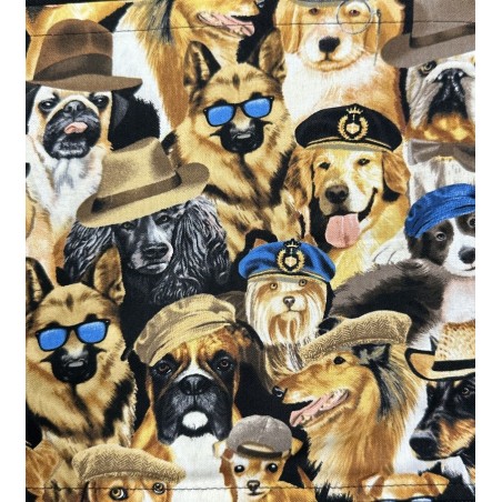 Chien Chapeau et lunette Tissu TIS-0661*