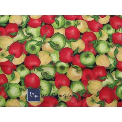 Pommes Vertes Fruits TIS-460