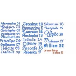 Chats Multicouleur Napperon avec Pochette Prêt à Broder Personnalisé NAP-394P