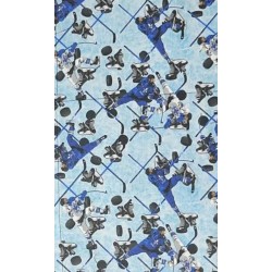 Hockey Joueurs Quebec Canada TIS-1213